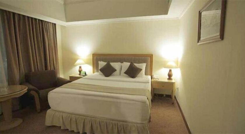Hotel Oasis Amir 4*